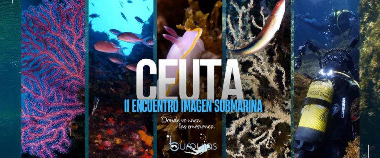 CEUTA 2024 imagen submarina